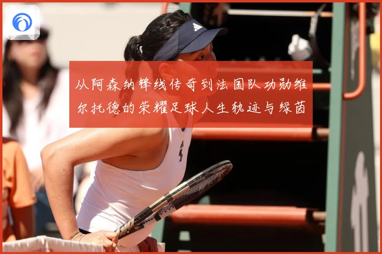 从阿森纳锋线传奇到法国队功勋维尔托德的荣耀足球人生轨迹与绿茵记忆