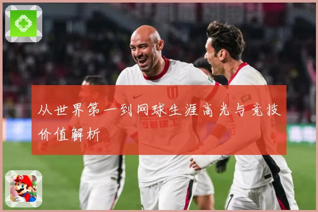 从世界第一到网球生涯高光与竞技价值解析