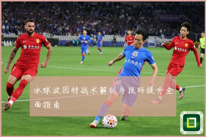 冰球波因特战术解析与技巧提升全面指南