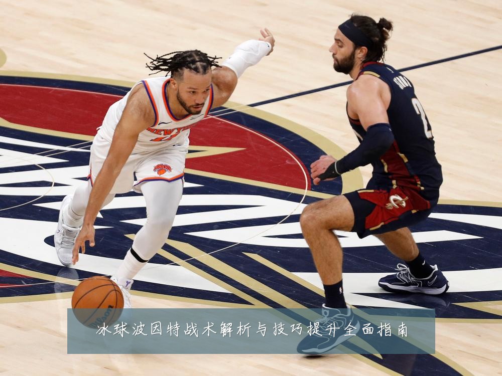 冰球波因特战术解析与技巧提升全面指南